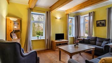 电视、壁炉、DVD 播放器、立体声音响