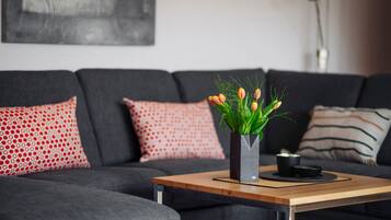 Fernseher, Stereoanlage