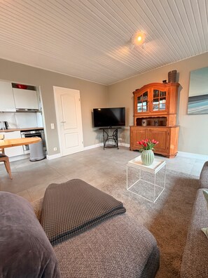 Televisor i estèreo