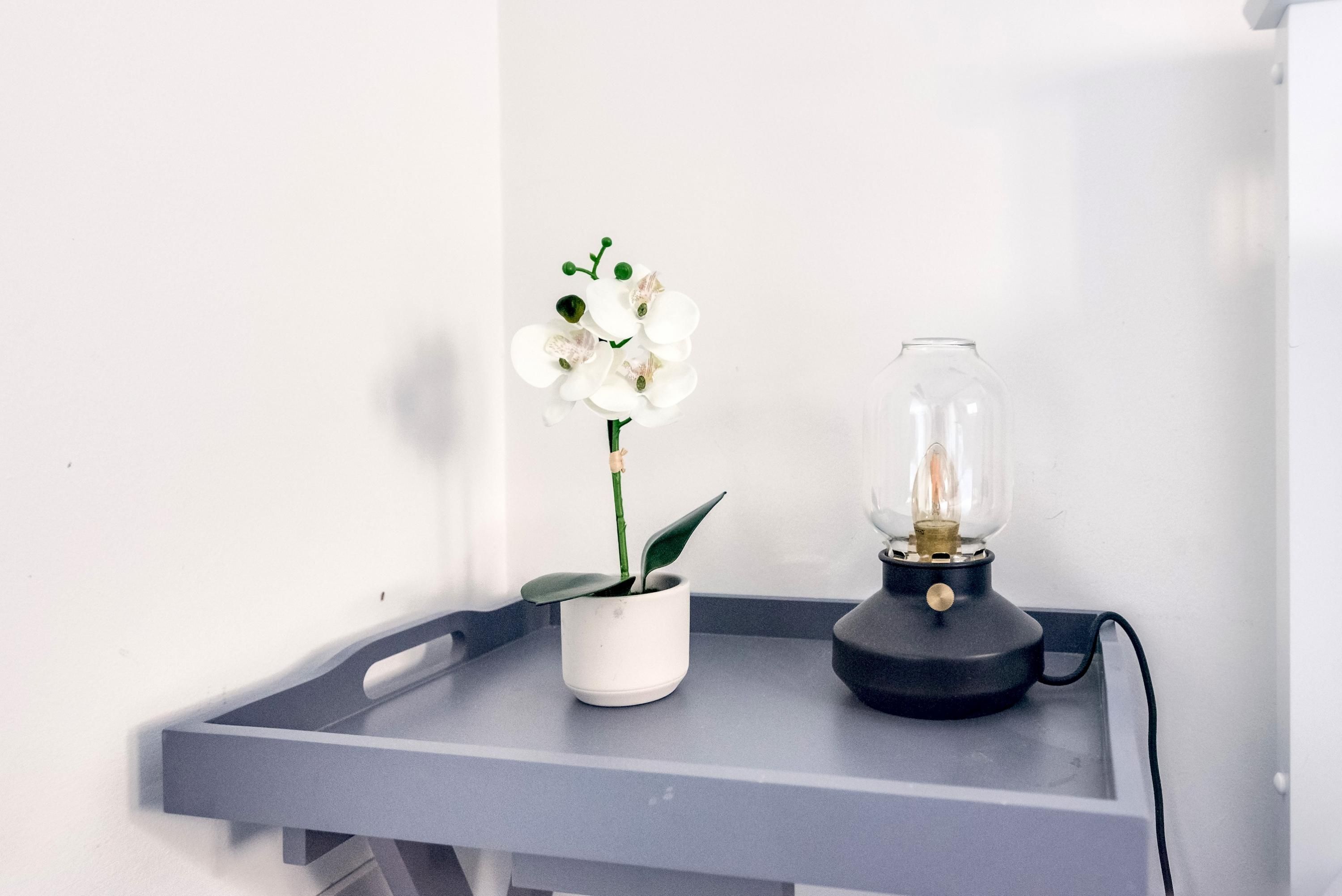 A small table with a potted orchid and a vintage-style lamp on a gray tray.