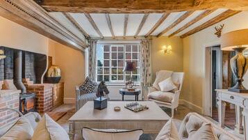 TV, fireplace, offices