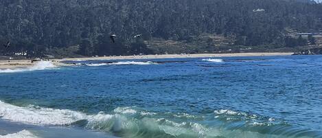 Sun loungers, beach towels