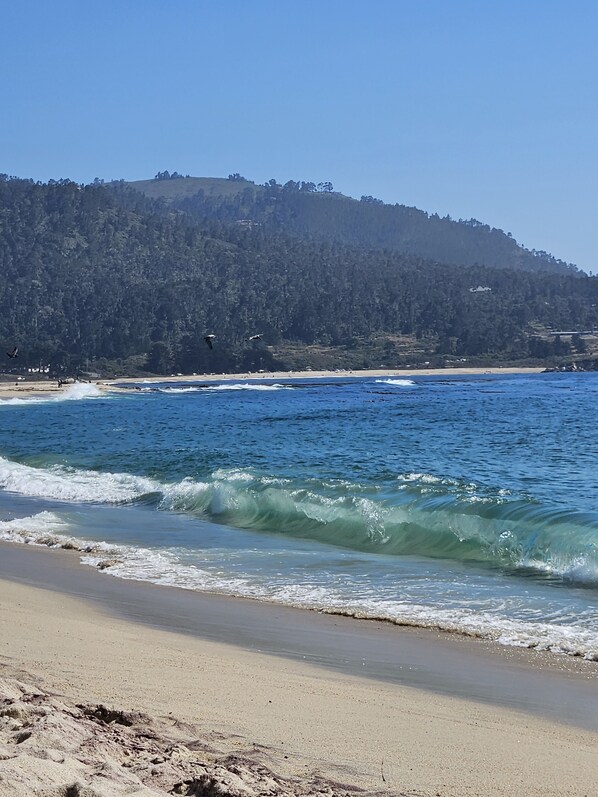 Chaises longues, serviettes de plage