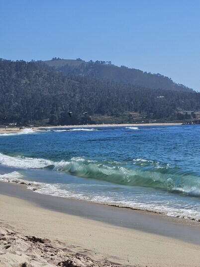 Cozy, all new place with everything you need. Serene views, easy hwy access!