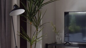 A modern living room with a large potted plant, a floor lamp, a glass vase, and a flat-screen TV on a black TV stand. - Sunmall Crest607 (Tokyo)