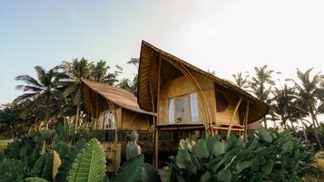 Taman