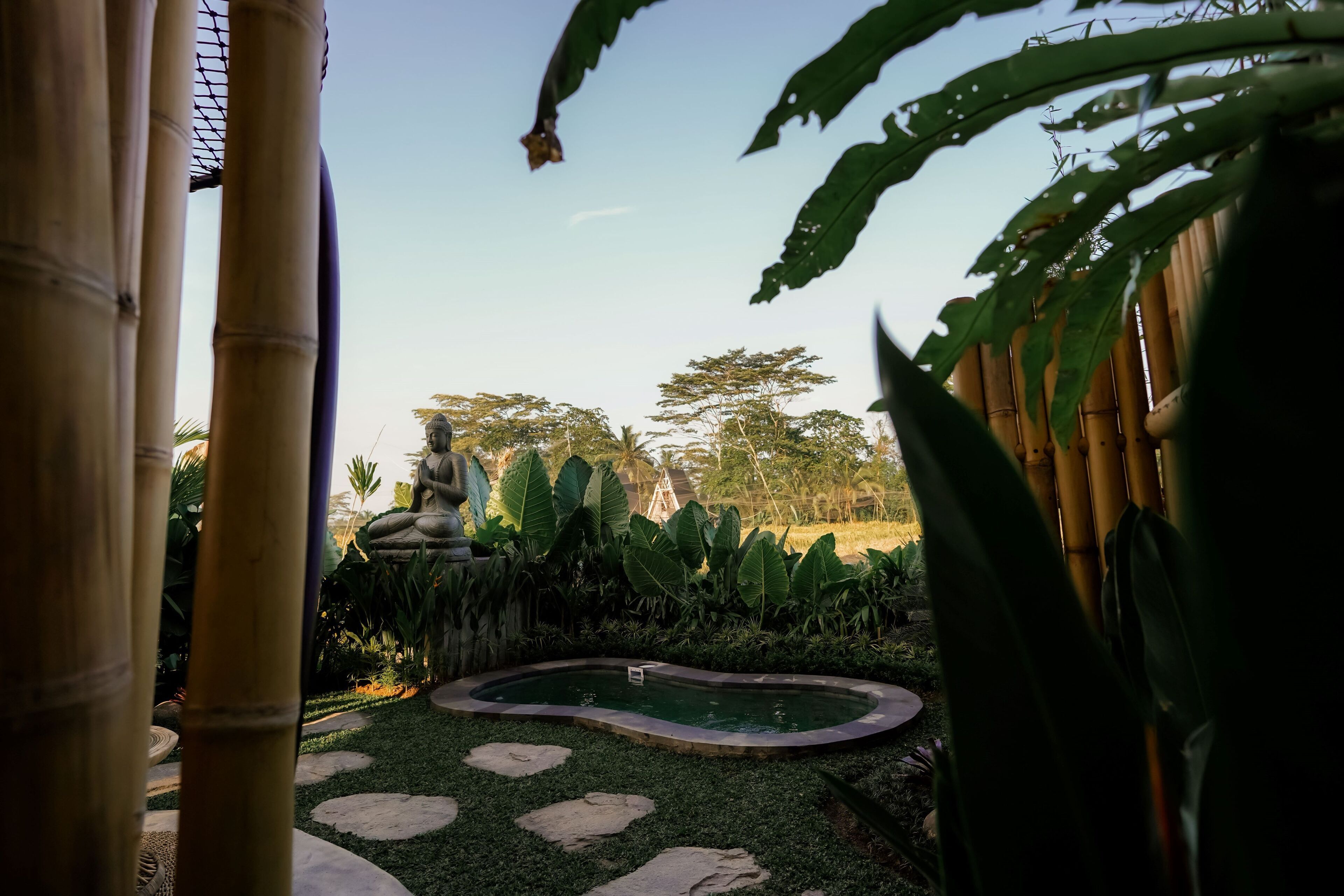 A garden with a small pond, bamboo structures, and tropical plants.