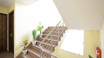 Un escalier avec des rampes en métal, des plantes en pot et un extincteur fixé au mur.