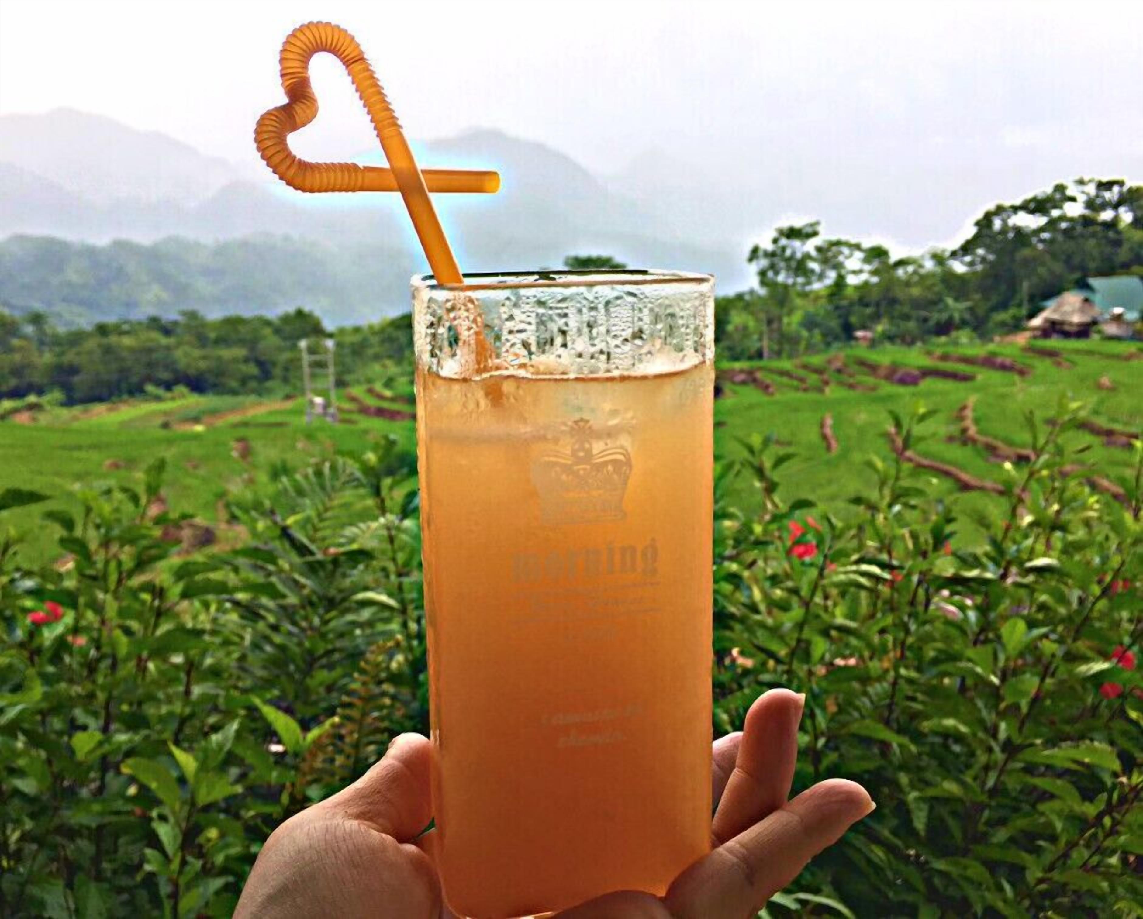 A hand holding a glass with a straw, set against a rural landscape with fields and mountains.