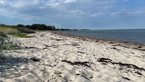 Una spiaggia sabbiosa con delle turbine eoliche in lontananza.