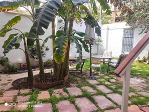 Terrace/patio - Precioso Apartamento con a/a en Ruzafa, Casa 1910 (València)