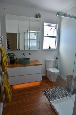 Shower, hair dryer, towels, soap