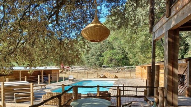 Una terraza de madera con piscina, rodeada de árboles y construcciones de madera.
