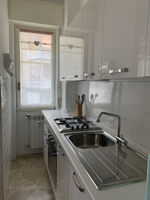 Apartamento básico | Cozinha privada | Geladeira grande, micro-ondas, fogão, lava-louças