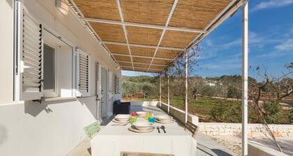 805 La Murreddina by Barbarhouse