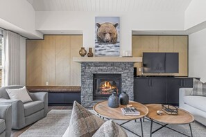 Smart TV, fireplace, DVD player, books