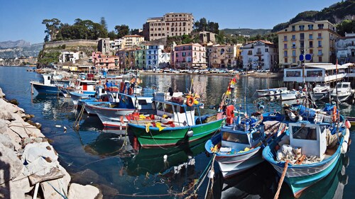 Mary's Country Villa - Villa in charming and amazing Sorrento Coast