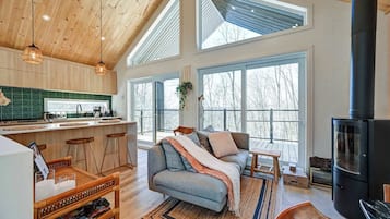 TV, fireplace, books, offices