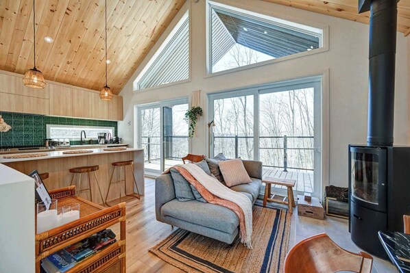 TV, fireplace, books, offices - Le Windermere - British Inspired Thermal Escape (Sainte-Béatrix)