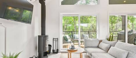 TV, fireplace, books, offices