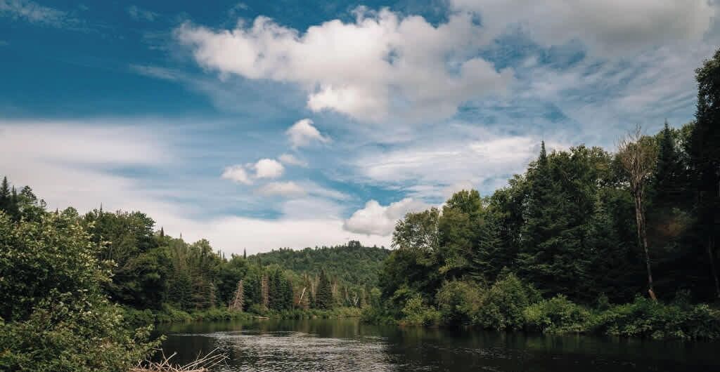 Un riu envoltat de bosc dens i un cel serè.
