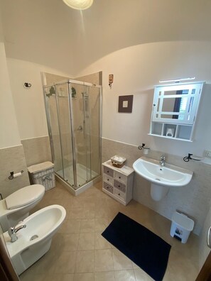 Shower, hair dryer, bidet, towels