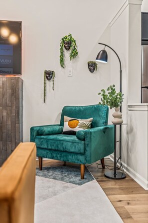 Smart TV, fireplace, video games, books