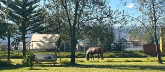 Grandfather´s Farm - Disfruta de la naturaleza en un lindo flat