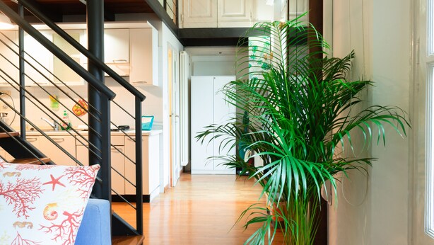 A staircase with a black railing leading to a second floor, a large potted plant, and a kitchen area with cabinets and a refrigerator.
