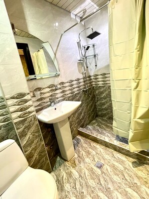 Shower, towels, toilet paper