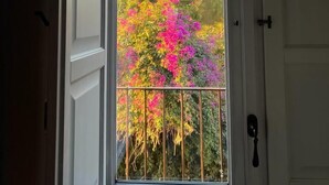 En dörr med ett fönster som ger utsikt över en balkong med ett räcke och en vy över träd och himmel.
