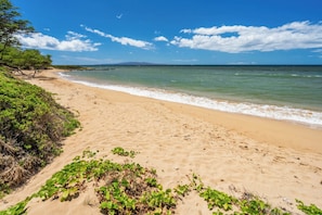 Une plage avec un ciel dégagé, un rivage sablonneux et une végétation clairsemée.