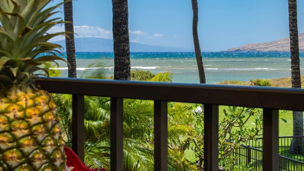 A view from a balcony overlooking a beach with palm trees and ocean.