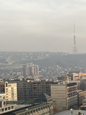 独特公寓, 2 间卧室, 厨房, 城市景观 | 客房景观