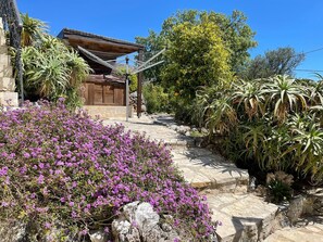 Property grounds - Villa Velanidia In Drapanos (xania)