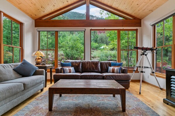 TV, fireplace, books