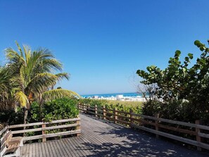 Beach nearby - Miami Beach Getaway 100 yards from Beach (Miami)