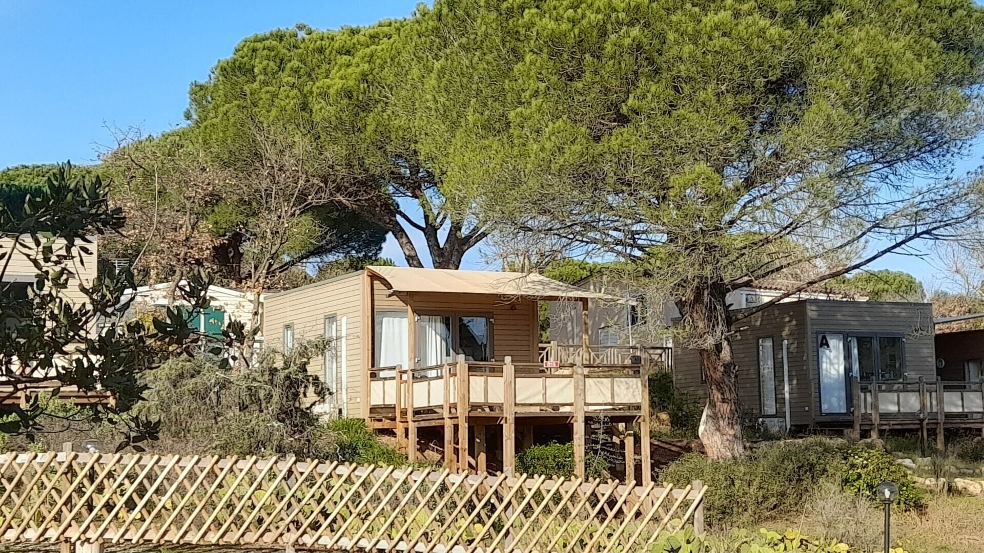 Een houten hut met een balkon, omgeven door bomen en een houten hek.