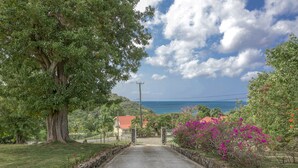 A paved road leading to a house with a red roof, surrounded by lush greenery and a large tree. - Spanish-style Ocean View Villa Set In Garden - Calypso Court 3 Bedroom Villa by RedAwning (Gros Islet)