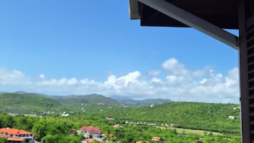 Cottage, 1 phòng ngủ | Khuôn viên nơi lưu trú