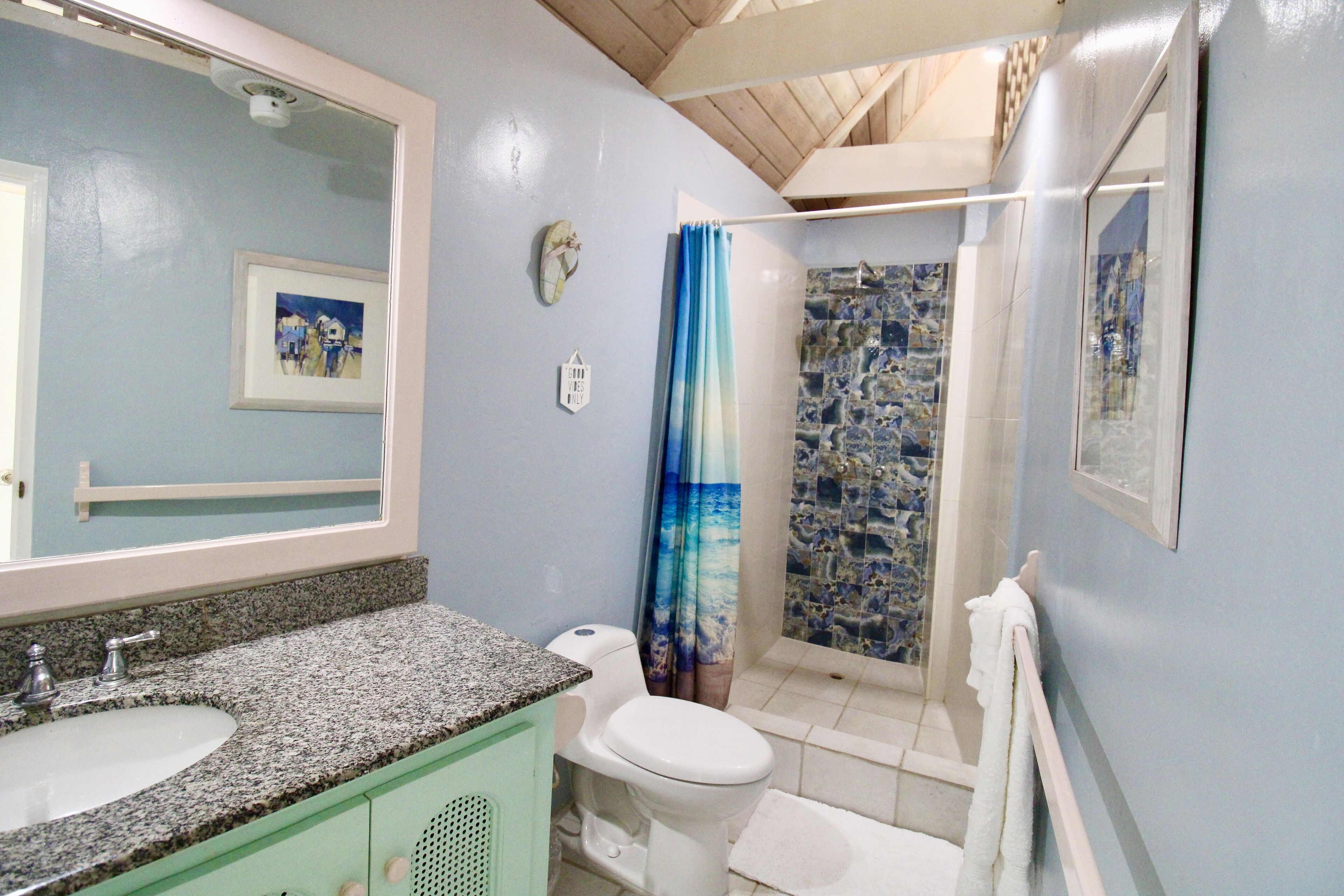 Une salle de bain avec un lavabo sur un plan de travail en granit, des toilettes, une douche avec un rideau bleu et un tableau encadré au mur.