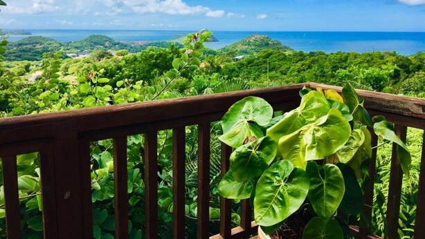 Un balcon agrémenté d’un feuillage verdoyant et offrant une vue sur un paysage côtier.