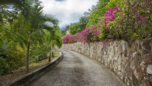 A narrow, paved pathway flanked by lush greenery and flowering plants, leading towards a stone wall. - Zephyr Hill - 2 bedroom Villa with awe inspiring views 2 Villa by RedAwning (Gros Islet)