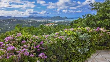 Vila, 2 quartos | Área da propriedade