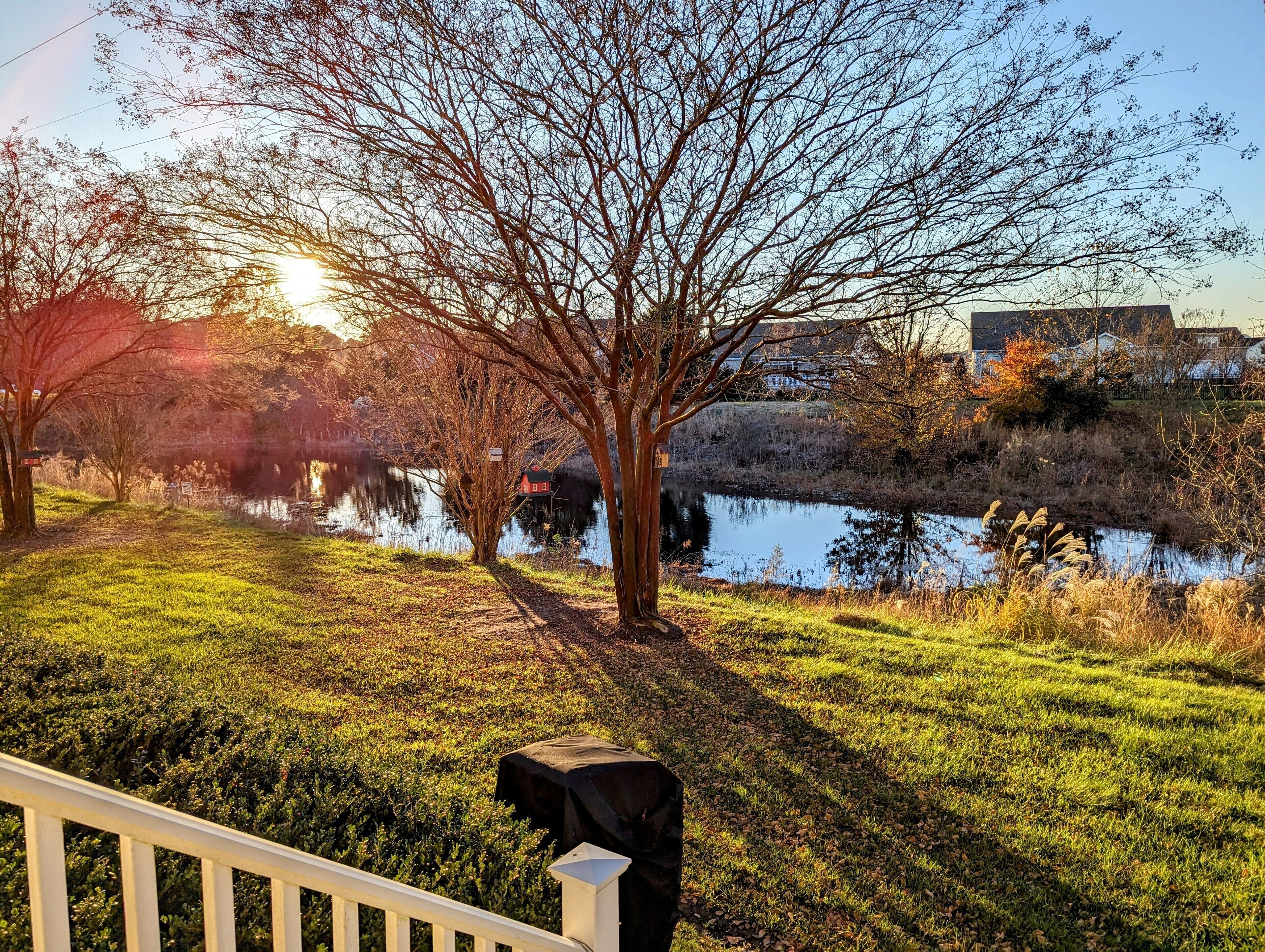 A riverside view with a grassy area, a tree, and a building in the background.