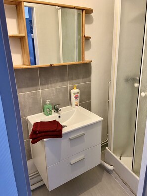 Free toiletries, hair dryer, towels, soap - Le Blaisois (Blois)
