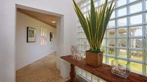 A hallway with a wooden bench, a potted plant, and framed pictures on the wall.