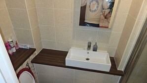 A small bathroom with a white sink, a toilet, and a mirror above the sink.