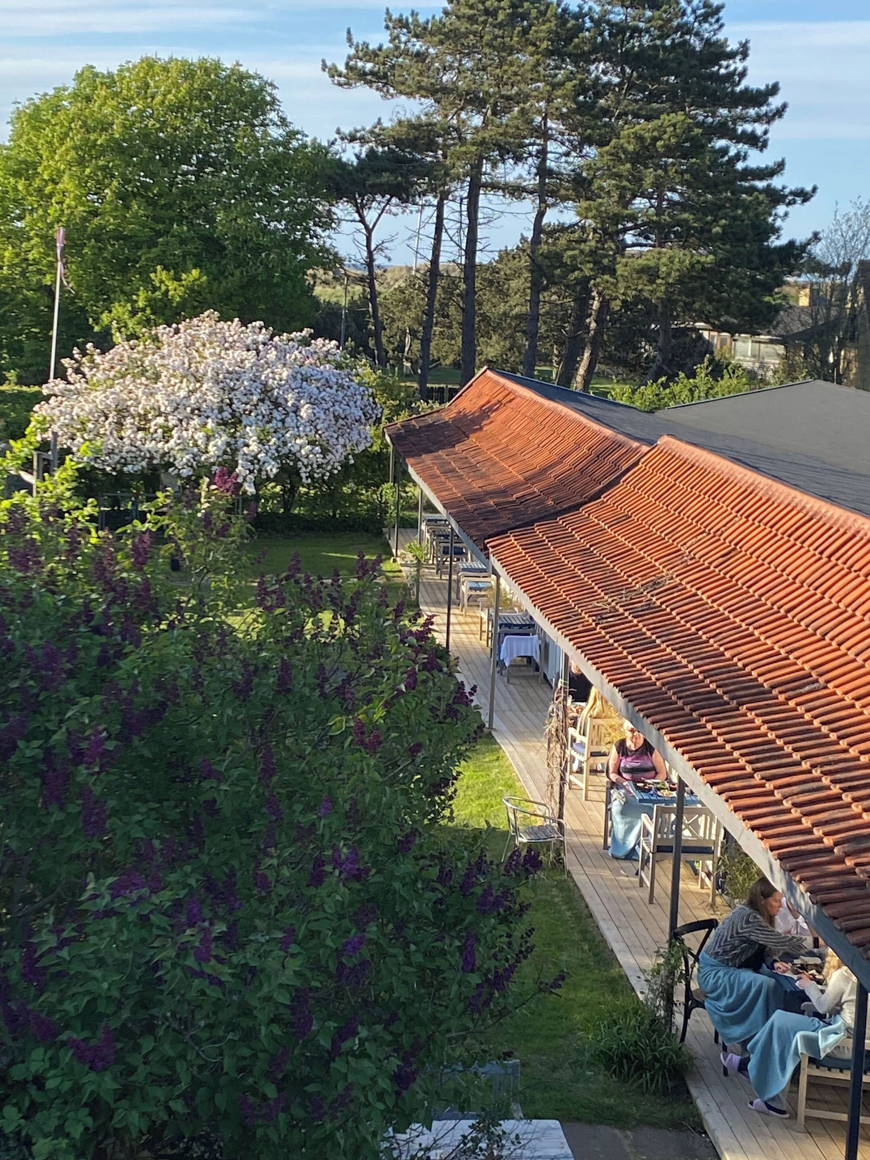 A covered outdoor seating area with a tiled roof, surrounded by greenery and trees.