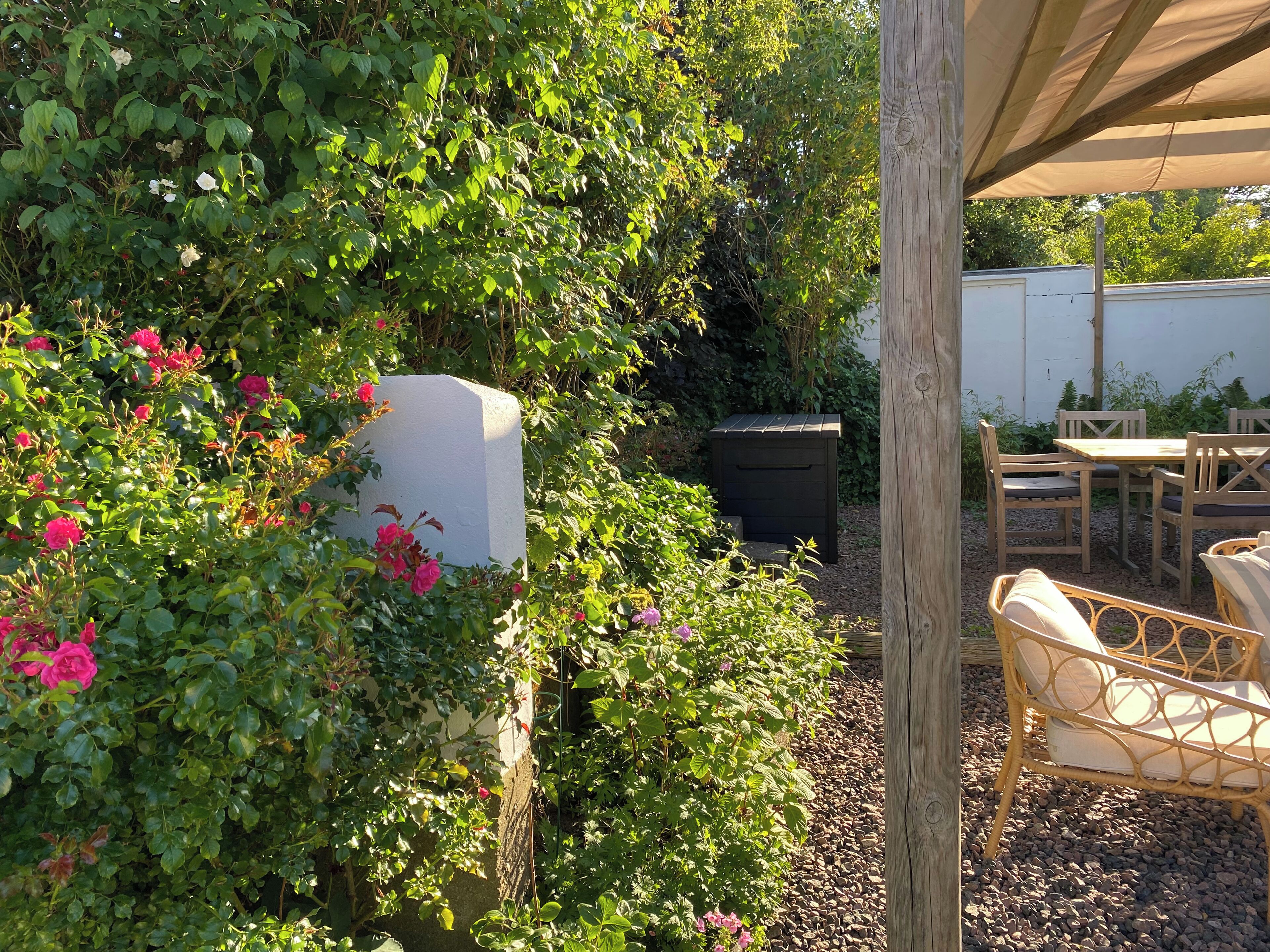 A garden with a white planter, wooden furniture, and a shed.